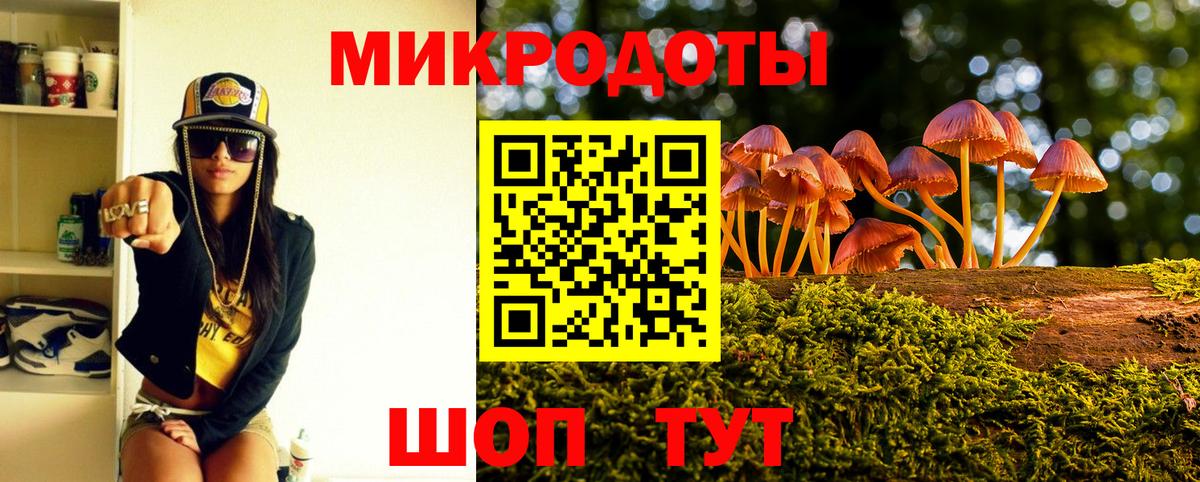 Галлюциногенные грибы Psilocybe  Вход с VPN  Чехов 