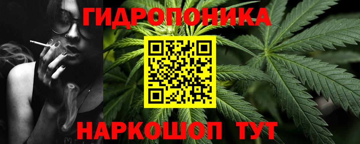 Чехов  Марихуана планчик  Каннабис OG Kush  Бошки Шишки индика  Вход с VPN 